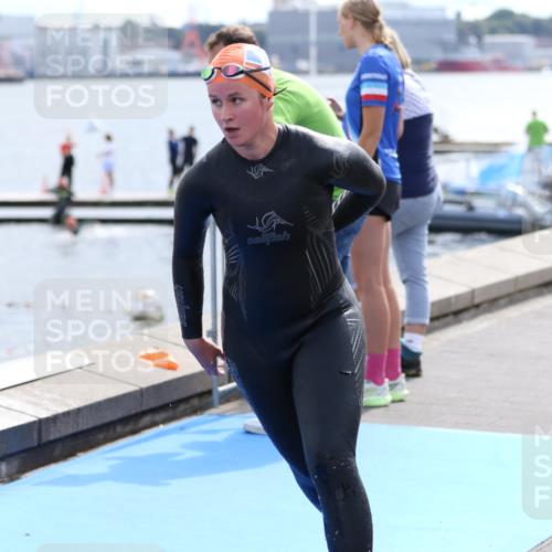 16.08.2026 - KN Förde Triathlon 2026 Antke Förster http://msf.ph/oto/10000619 16.08.2026 14:54:44 Schwimmen 24, 19, 22, 24, 26, 27, 28, 31, 34, 35 meine-sportfotos.de