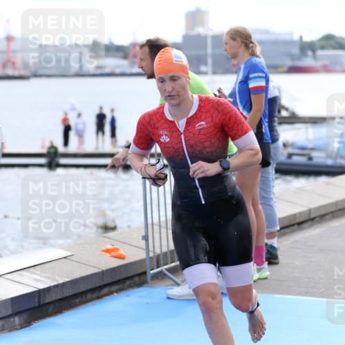 16.08.2026 - KN Förde Triathlon 2026 Antke Förster http://msf.ph/oto/10000658 16.08.2026 14:55:18 Schwimmen 19, 26, 27, 28, 34, 35, 36, 21, 23, 25, 29, 30, 36, 37 meine-sportfotos.de