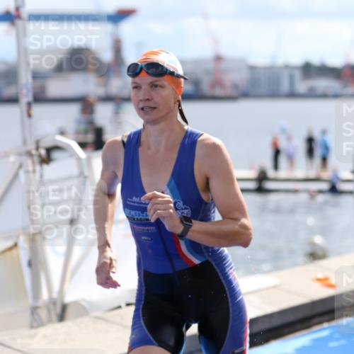 16.08.2026 - KN Förde Triathlon 2026 Antke Förster http://msf.ph/oto/10000673 16.08.2026 14:55:26 Schwimmen 19, 21, 25, 26, 27, 28, 30, 36, 37, 21, 23, 29 meine-sportfotos.de
