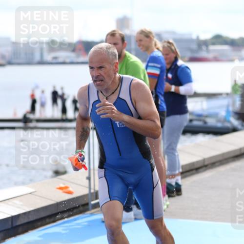 16.08.2026 - KN Förde Triathlon 2026 Antke Förster http://msf.ph/oto/10000703 16.08.2026 14:56:10 Schwimmen 17, 18, 32, 32 meine-sportfotos.de
