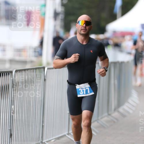 16.08.2026 - KN Förde Triathlon 2026 Antke Förster http://msf.ph/oto/10005169 16.08.2026 11:55:20 Laufen 377 meine-sportfotos.de