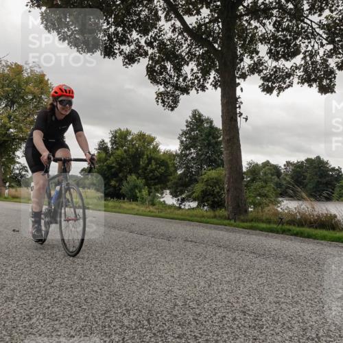 30.08.2026 - Elbe Triathlon Hamburg Michael Burmester http://msf.ph/oto/10054862 30.08.2026 11:15:46 Radfahren 1445, 1471, 1539 meine-sportfotos.de