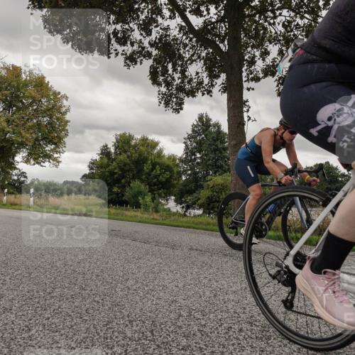 30.08.2026 - Elbe Triathlon Hamburg Michael Burmester http://msf.ph/oto/10055030 30.08.2026 11:21:24 Radfahren 1411, 1450, 1537, 1566, 1702 meine-sportfotos.de