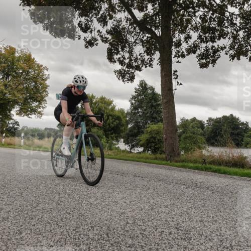 30.08.2026 - Elbe Triathlon Hamburg Michael Burmester http://msf.ph/oto/10055051 30.08.2026 11:22:01 Radfahren 801, 1391, 1423, 1596, 1633, 1658 meine-sportfotos.de