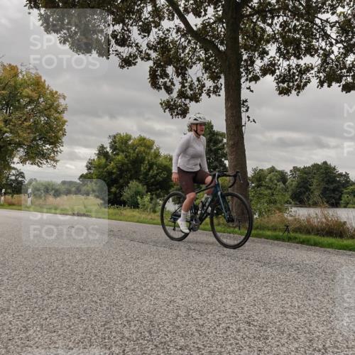 30.08.2026 - Elbe Triathlon Hamburg Michael Burmester http://msf.ph/oto/10055308 30.08.2026 11:30:19 Radfahren 1427, 1467, 1592 meine-sportfotos.de