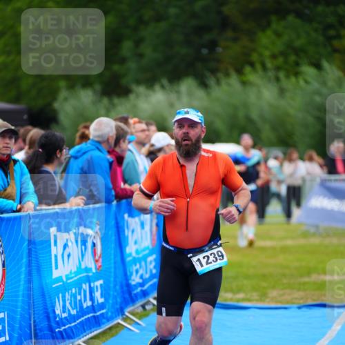 30.08.2026 - Elbe Triathlon Hamburg LAZAROV Photography http://msf.ph/oto/10061323 30.08.2026 11:44:28 Ziel 395, 875, 1154, 1161, 1239 meine-sportfotos.de