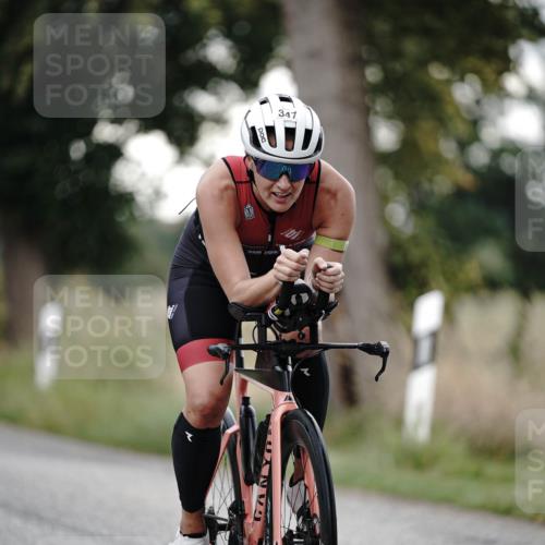 30.08.2026 - Elbe Triathlon Hamburg Michael Burmester http://msf.ph/oto/10066758 30.08.2026 09:12:24 Radfahren 290, 310, 347, 351, 374, 464 meine-sportfotos.de