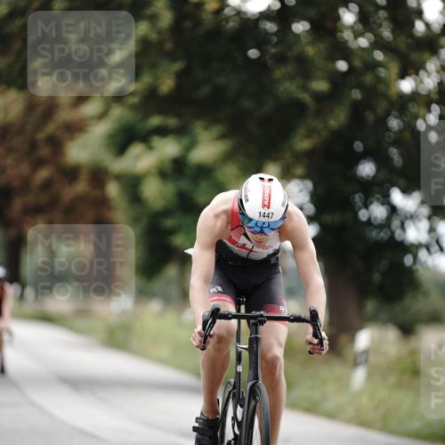 30.08.2026 - Elbe Triathlon Hamburg Michael Burmester http://msf.ph/oto/10075880 30.08.2026 11:10:47 Radfahren 1447, 1452, 1463 meine-sportfotos.de