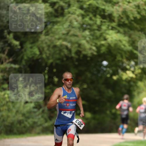 30.08.2026 - Elbe Triathlon Hamburg Antke Förster http://msf.ph/oto/10095393 30.08.2026 09:56:57 Laufen 20 meine-sportfotos.de