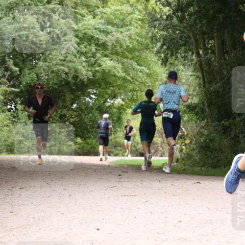 30.08.2026 - Elbe Triathlon Hamburg Antke Förster http://msf.ph/oto/10095448 30.08.2026 10:06:22 Laufen 598 meine-sportfotos.de