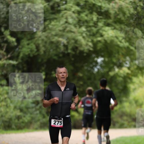30.08.2026 - Elbe Triathlon Hamburg Antke Förster http://msf.ph/oto/10095947 30.08.2026 10:09:19 Laufen 275 meine-sportfotos.de