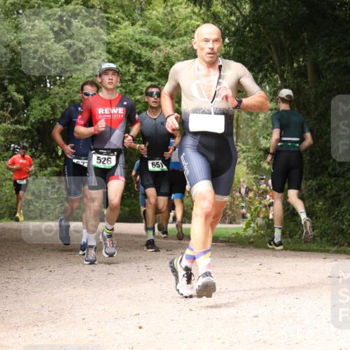 30.08.2026 - Elbe Triathlon Hamburg Antke Förster http://msf.ph/oto/10098448 30.08.2026 10:46:44 Laufen 451, 1749, 526, 651 meine-sportfotos.de