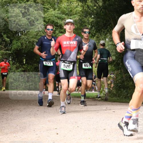 30.08.2026 - Elbe Triathlon Hamburg Antke Förster http://msf.ph/oto/10098450 30.08.2026 10:46:45 Laufen 451, 577, 3, 651, 526 meine-sportfotos.de