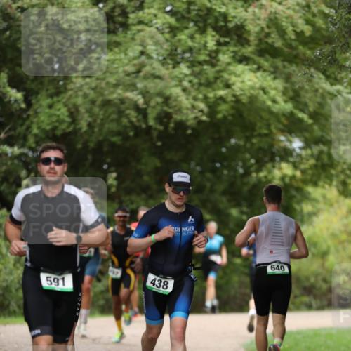 30.08.2026 - Elbe Triathlon Hamburg Antke Förster http://msf.ph/oto/10099339 30.08.2026 10:53:12 Laufen 591, 438, 640 meine-sportfotos.de