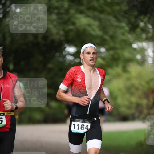 30.08.2026 - Elbe Triathlon Hamburg Antke Förster http://msf.ph/oto/10100650 30.08.2026 11:07:58 Laufen 6, 1164 meine-sportfotos.de
