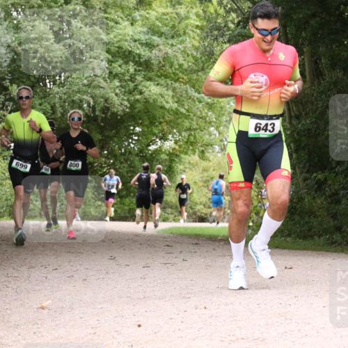 30.08.2026 - Elbe Triathlon Hamburg Antke Förster http://msf.ph/oto/10100661 30.08.2026 11:11:20 Laufen 598, 699, 800, 643 meine-sportfotos.de