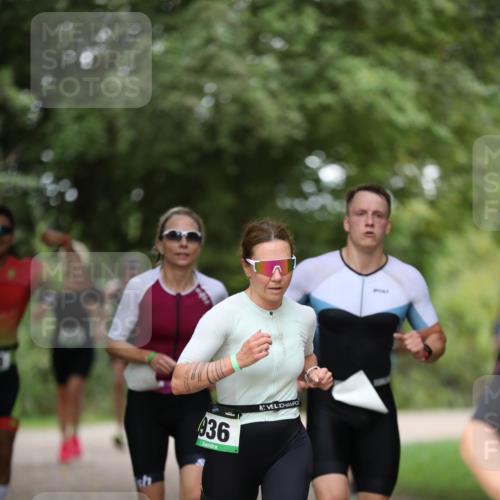 30.08.2026 - Elbe Triathlon Hamburg Antke Förster http://msf.ph/oto/10100960 30.08.2026 11:11:17 Laufen 436 meine-sportfotos.de