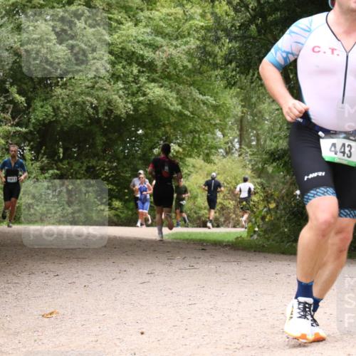 30.08.2026 - Elbe Triathlon Hamburg Antke Förster http://msf.ph/oto/10101307 30.08.2026 11:18:01 Laufen 1013, 443 meine-sportfotos.de