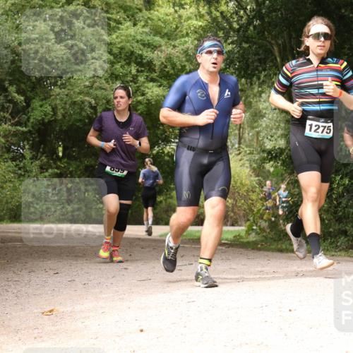 30.08.2026 - Elbe Triathlon Hamburg Antke Förster http://msf.ph/oto/10102001 30.08.2026 11:24:41 Laufen 1275, 1224 meine-sportfotos.de