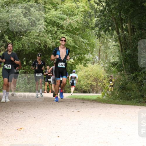 30.08.2026 - Elbe Triathlon Hamburg Antke Förster http://msf.ph/oto/10102189 30.08.2026 11:26:47 Laufen 49, 799, 967, 1229 meine-sportfotos.de
