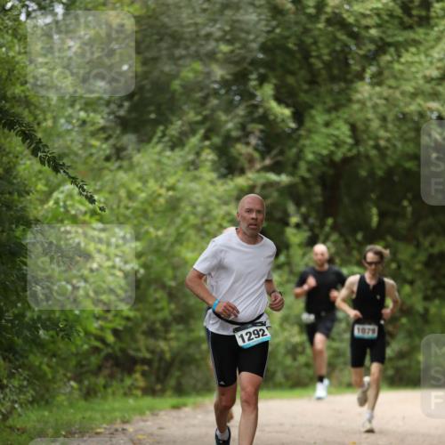 30.08.2026 - Elbe Triathlon Hamburg Antke Förster http://msf.ph/oto/10102240 30.08.2026 11:23:59 Laufen 1292, 1079 meine-sportfotos.de