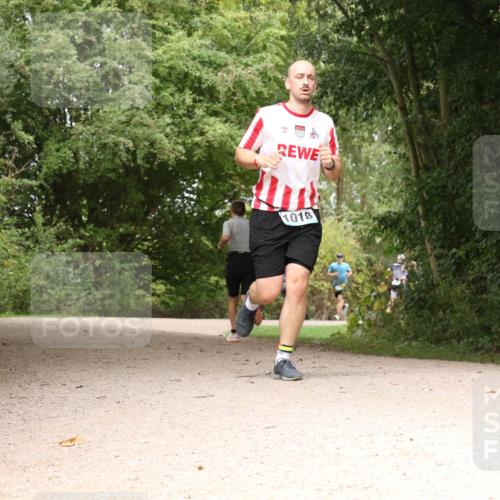 30.08.2026 - Elbe Triathlon Hamburg Antke Förster http://msf.ph/oto/10102355 30.08.2026 11:28:25 Laufen 1018 meine-sportfotos.de