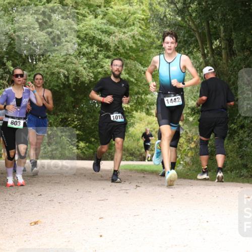 30.08.2026 - Elbe Triathlon Hamburg Antke Förster http://msf.ph/oto/10102397 30.08.2026 11:29:11 Laufen 1016, 803, 1442 meine-sportfotos.de