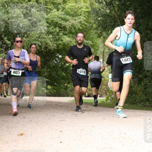 30.08.2026 - Elbe Triathlon Hamburg Antke Förster http://msf.ph/oto/10102399 30.08.2026 11:29:12 Laufen 1016, 803, 228, 881, 1442 meine-sportfotos.de