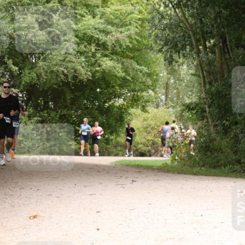 30.08.2026 - Elbe Triathlon Hamburg Antke Förster http://msf.ph/oto/10102469 30.08.2026 11:29:50 Laufen 086, 369 meine-sportfotos.de