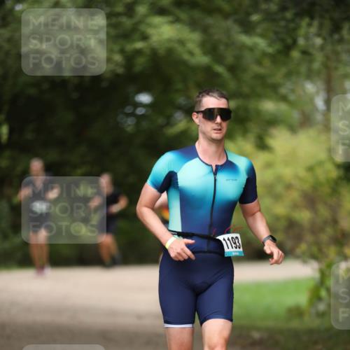 30.08.2026 - Elbe Triathlon Hamburg Antke Förster http://msf.ph/oto/10102572 30.08.2026 11:27:34 Laufen 1193 meine-sportfotos.de