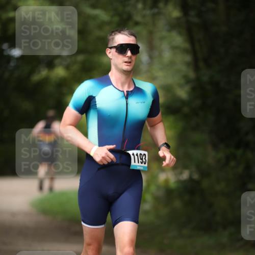 30.08.2026 - Elbe Triathlon Hamburg Antke Förster http://msf.ph/oto/10102574 30.08.2026 11:27:35 Laufen 1193 meine-sportfotos.de
