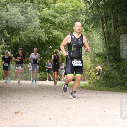 30.08.2026 - Elbe Triathlon Hamburg Antke Förster http://msf.ph/oto/10102575 30.08.2026 11:31:14 Laufen 931, 937, 1289 meine-sportfotos.de