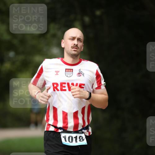 30.08.2026 - Elbe Triathlon Hamburg Antke Förster http://msf.ph/oto/10102666 30.08.2026 11:28:26 Laufen 1018 meine-sportfotos.de