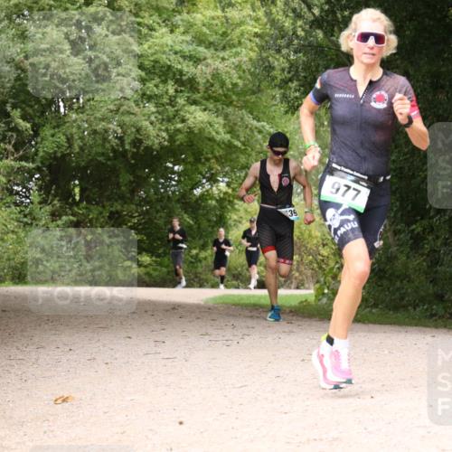 30.08.2026 - Elbe Triathlon Hamburg Antke Förster http://msf.ph/oto/10102759 30.08.2026 11:34:01 Laufen 39, 977, 294 meine-sportfotos.de
