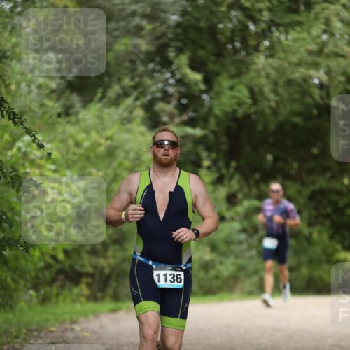 30.08.2026 - Elbe Triathlon Hamburg Antke Förster http://msf.ph/oto/10102842 30.08.2026 11:30:38 Laufen 1136 meine-sportfotos.de