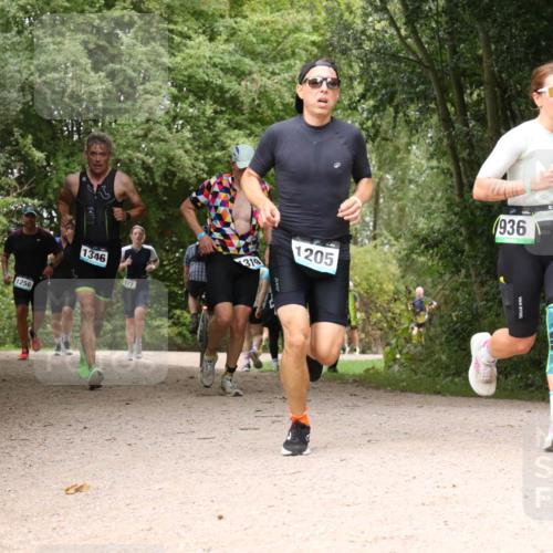 30.08.2026 - Elbe Triathlon Hamburg Antke Förster http://msf.ph/oto/10103005 30.08.2026 11:36:37 Laufen 1256, 1346, 877, 319, 1205, 936 meine-sportfotos.de