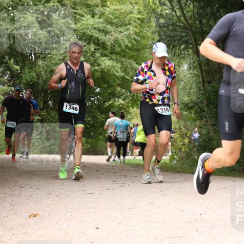 30.08.2026 - Elbe Triathlon Hamburg Antke Förster http://msf.ph/oto/10103009 30.08.2026 11:36:39 Laufen 1256, 1346, 319 meine-sportfotos.de