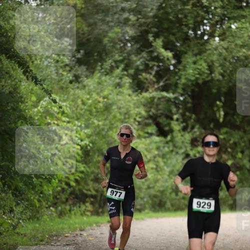 30.08.2026 - Elbe Triathlon Hamburg Antke Förster http://msf.ph/oto/10103050 30.08.2026 11:33:58 Laufen 977, 929 meine-sportfotos.de