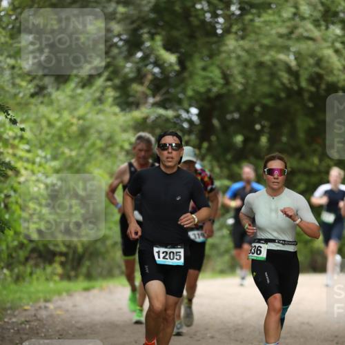 30.08.2026 - Elbe Triathlon Hamburg Antke Förster http://msf.ph/oto/10103302 30.08.2026 11:36:36 Laufen 1205, 36 meine-sportfotos.de
