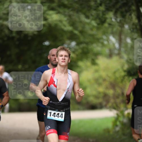 30.08.2026 - Elbe Triathlon Hamburg Antke Förster http://msf.ph/oto/10103336 30.08.2026 11:36:54 Laufen 1444 meine-sportfotos.de
