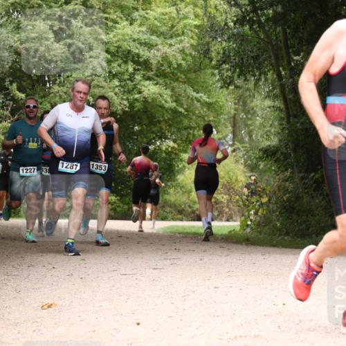 30.08.2026 - Elbe Triathlon Hamburg Antke Förster http://msf.ph/oto/10103415 30.08.2026 11:41:18 Laufen 2025, 1287, 1227, 538, 1353, 134, 366 meine-sportfotos.de