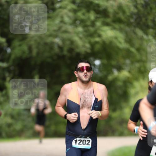 30.08.2026 - Elbe Triathlon Hamburg Antke Förster http://msf.ph/oto/10103472 30.08.2026 11:38:28 Laufen 1202 meine-sportfotos.de