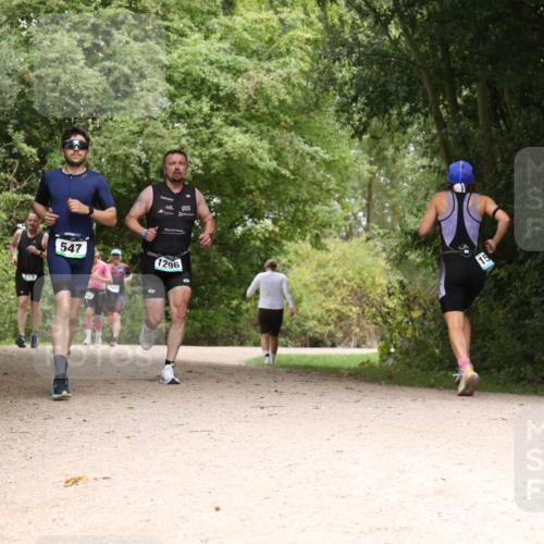 30.08.2026 - Elbe Triathlon Hamburg Antke Förster http://msf.ph/oto/10103531 30.08.2026 11:42:20 Laufen 547, 1296 meine-sportfotos.de