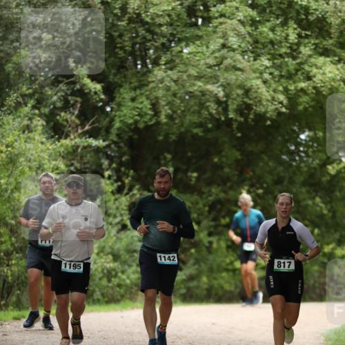 30.08.2026 - Elbe Triathlon Hamburg Antke Förster http://msf.ph/oto/10103550 30.08.2026 11:39:51 Laufen 1142, 1195, 3, 817, 3 meine-sportfotos.de