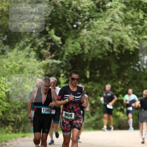30.08.2026 - Elbe Triathlon Hamburg Antke Förster http://msf.ph/oto/10103708 30.08.2026 11:41:13 Laufen 1345, 908, 7001 meine-sportfotos.de