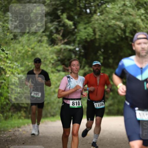 30.08.2026 - Elbe Triathlon Hamburg Antke Förster http://msf.ph/oto/10103772 30.08.2026 11:41:48 Laufen 395, 810, 1239, 115 meine-sportfotos.de