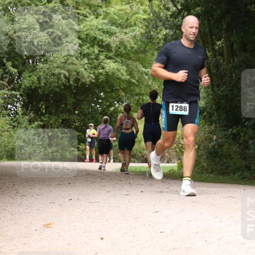 30.08.2026 - Elbe Triathlon Hamburg Antke Förster http://msf.ph/oto/10103941 30.08.2026 11:48:23 Laufen 1288 meine-sportfotos.de