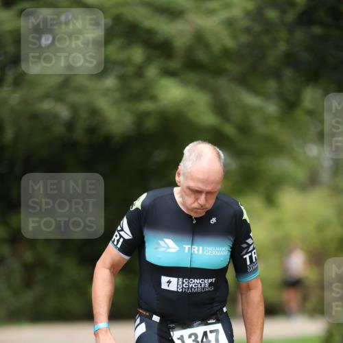 30.08.2026 - Elbe Triathlon Hamburg Antke Förster http://msf.ph/oto/10104150 30.08.2026 11:47:18 Laufen 1347 meine-sportfotos.de