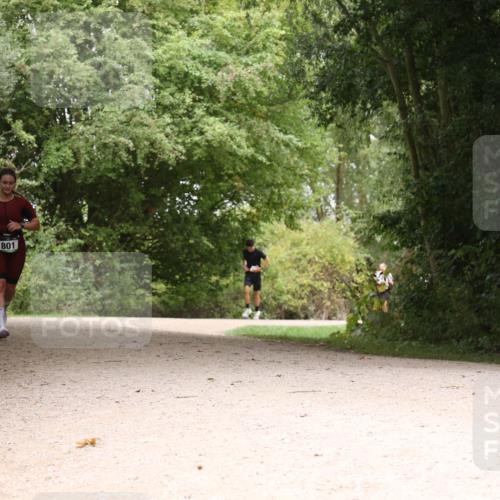 30.08.2026 - Elbe Triathlon Hamburg Antke Förster http://msf.ph/oto/10104509 30.08.2026 11:57:40 Laufen 801 meine-sportfotos.de