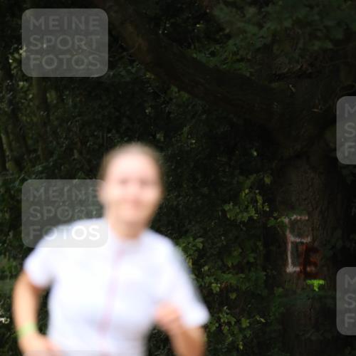 30.08.2026 - Elbe Triathlon Hamburg Antke Förster http://msf.ph/oto/10104550 30.08.2026 11:52:47 Laufen  meine-sportfotos.de